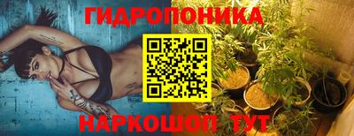 СК Канаш